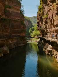 河南秋日親子秘境！破產5A龍潭大峽谷遛娃超香