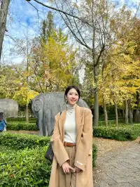 終於等到了12月的南京