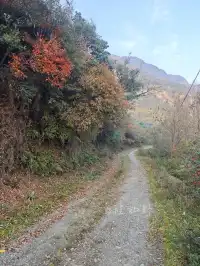 重慶周邊小眾徒步路線