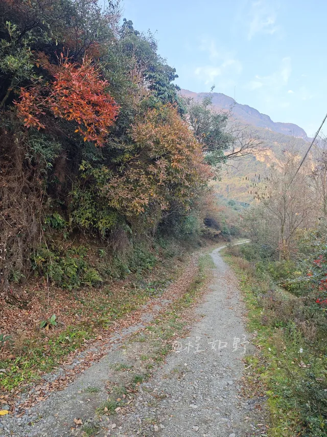 重慶周邊小眾徒步路線 重慶周邊小眾徒步路線