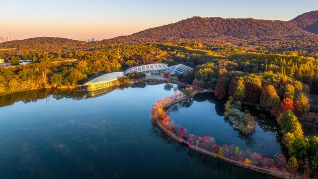 入了秋,南京便成了金陵 入了秋,南京便成了金陵