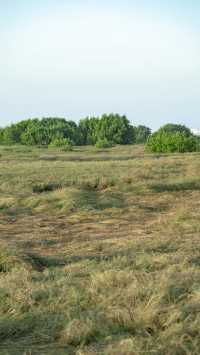 銀灘日出全攻略|附絕美機位+調色參數