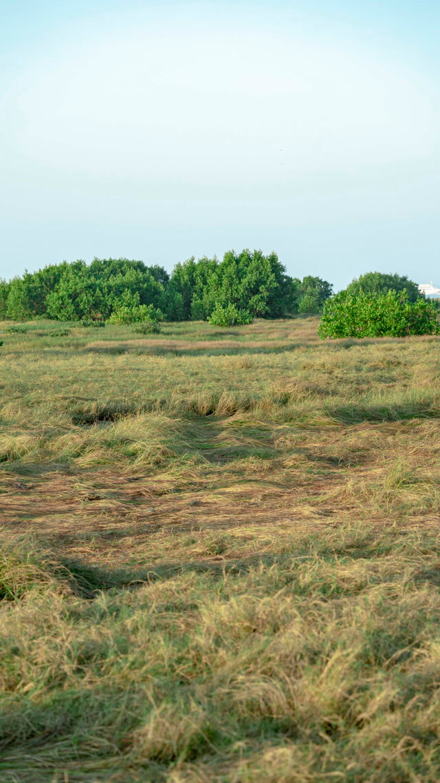 銀灘日出全攻略|附絕美機位+調色參數 銀灘日出全攻略|附絕美機位+調色參數