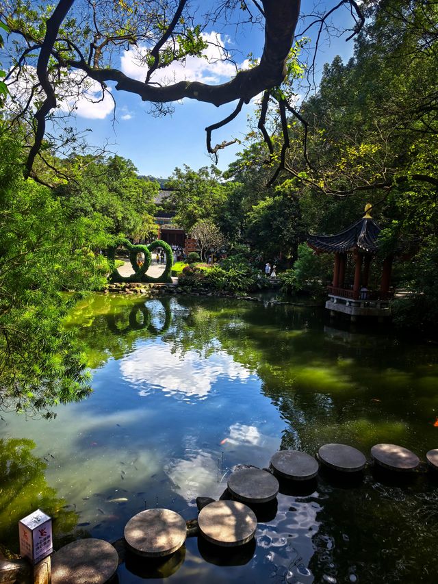 惠州羅浮山|登高尋訪葛洪跡 觀瀑聽泉洗塵心 惠州羅浮山|登高尋訪葛洪跡 觀瀑聽泉洗塵心