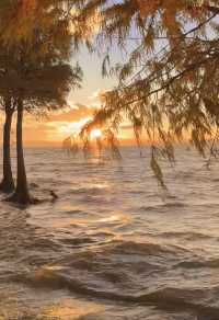 日落是溫柔，浪漫是和你一起看過的瞬間