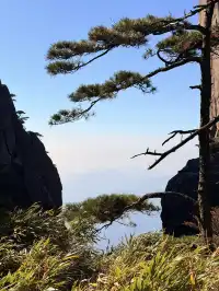 三清山太仙了！！