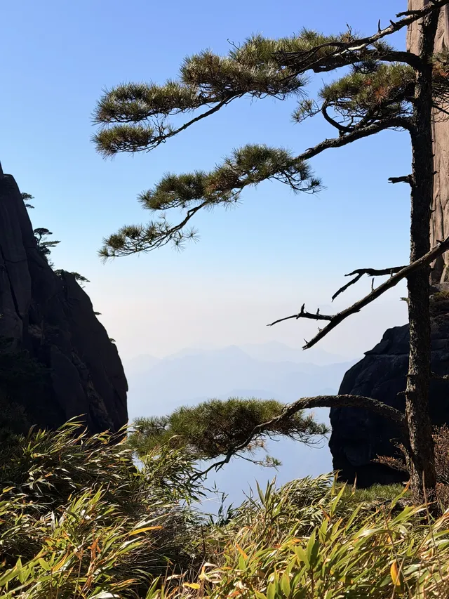三清山太仙了！！