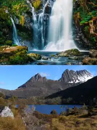 請大數據推給去澳大利亞的你｜攻略可下載！