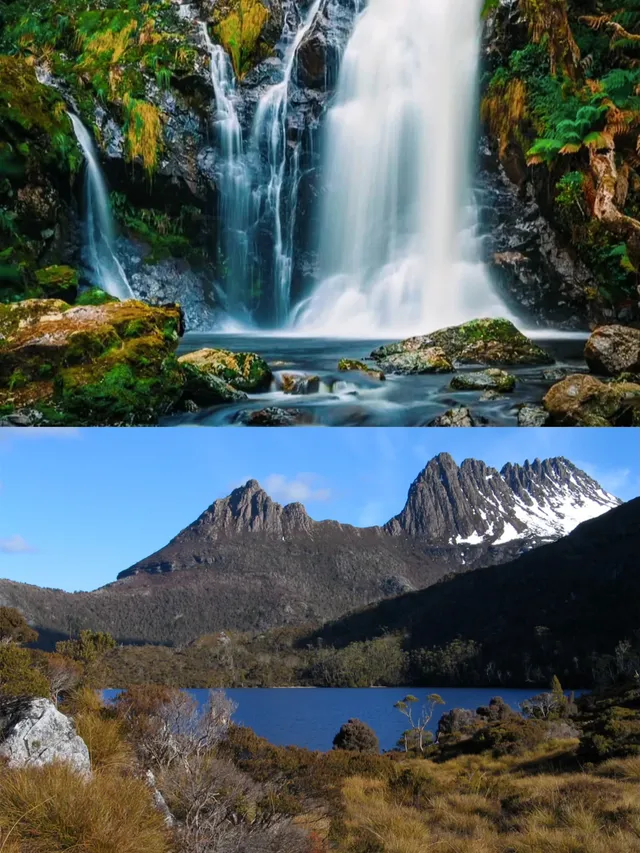 請大數據推給去澳大利亞的你｜攻略可下載！