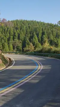 墜入「暮光森林」平陽滿田森林公園