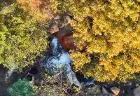 李成帶兵攻打到合肥來了