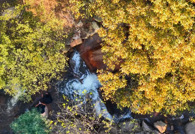 李成帶兵攻打到合肥來了