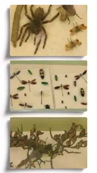 探索上海溫室花園的綠意秘境 