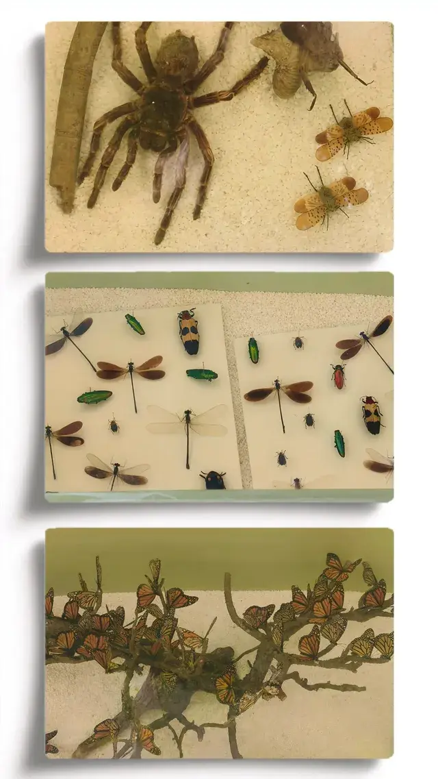 探索上海溫室花園的綠意秘境 