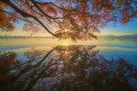 西湖絕美秋色預警這片霜葉紅得我心都化了～