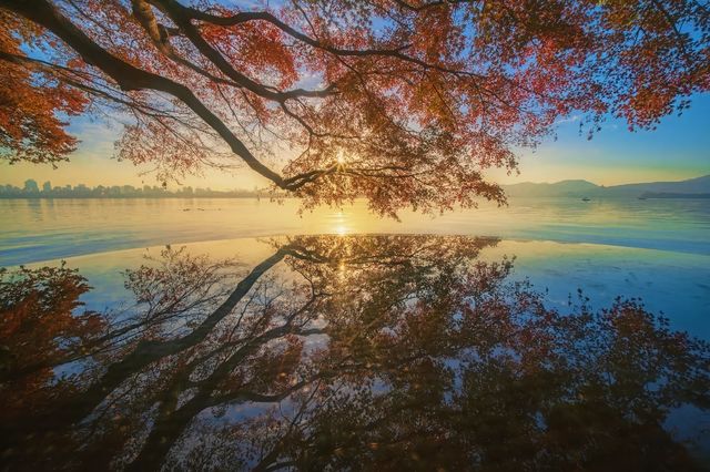 西湖絕美秋色預警這片霜葉紅得我心都化了～