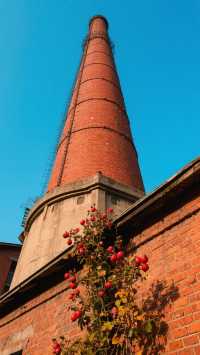 上海遇見黑天鵝|徐家匯公園裡的百年光影詩篇