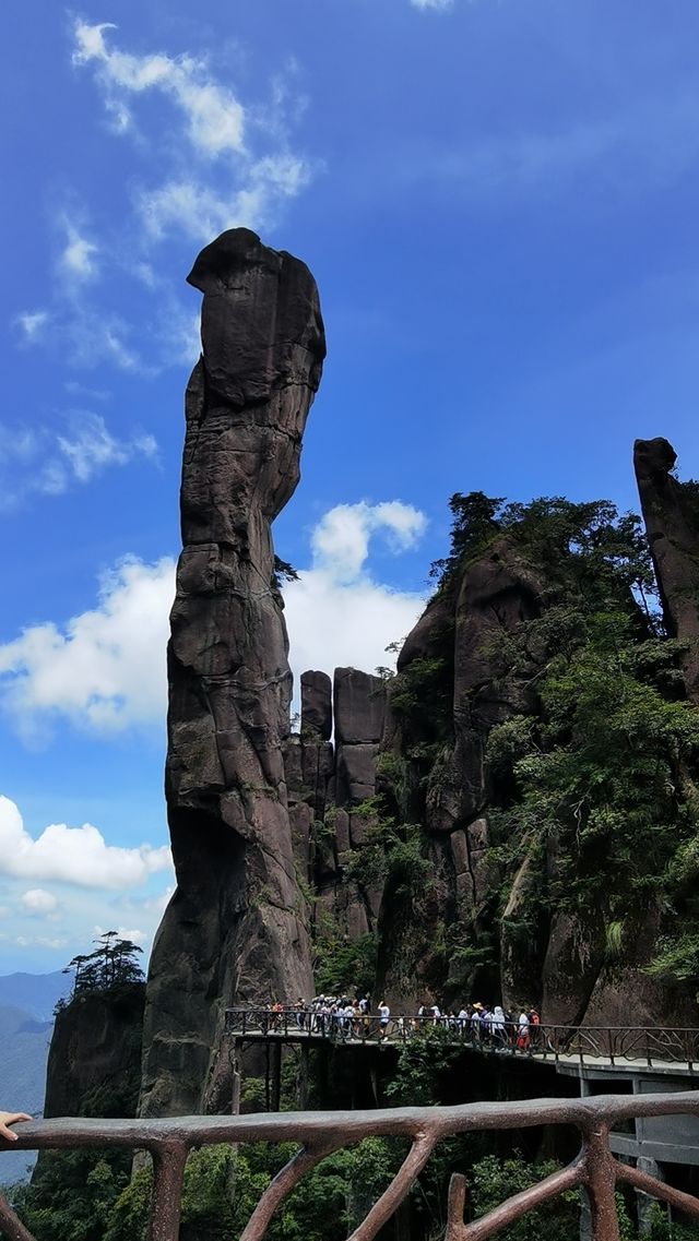 萬年巨蟒破山而出震撼到失語 萬年巨蟒破山而出震撼到失語