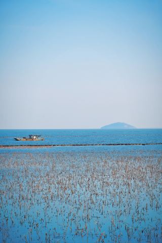 ฝั่งตะวันตกของถนนริมทะเลสาบฮวนเฉา | เดินเล่นสบายๆ เลียบชายฝั่งทะเลสาบตลอดสาย