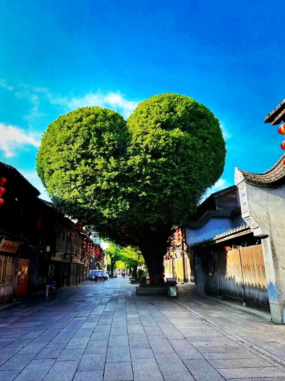 Fuzhou is the Ultimate Lazy Getaway! Epic Itinerary | Must-Visit Spots + Authentic Food + Star-Rated Hotels All Packed in One.