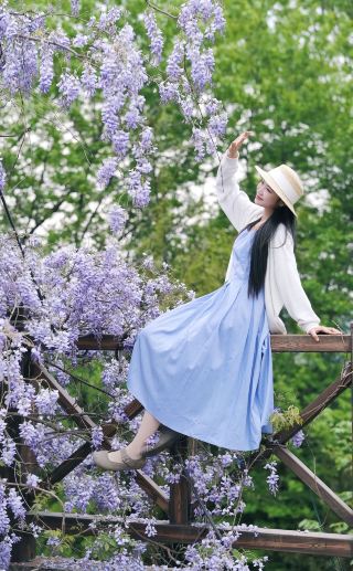 The hidden flower viewing spot in Jiujiang has been found by me! A romantic sea of wisteria flowers waterfall