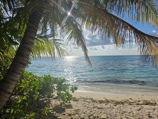 Fabulous Stay at Whaleshark Beach