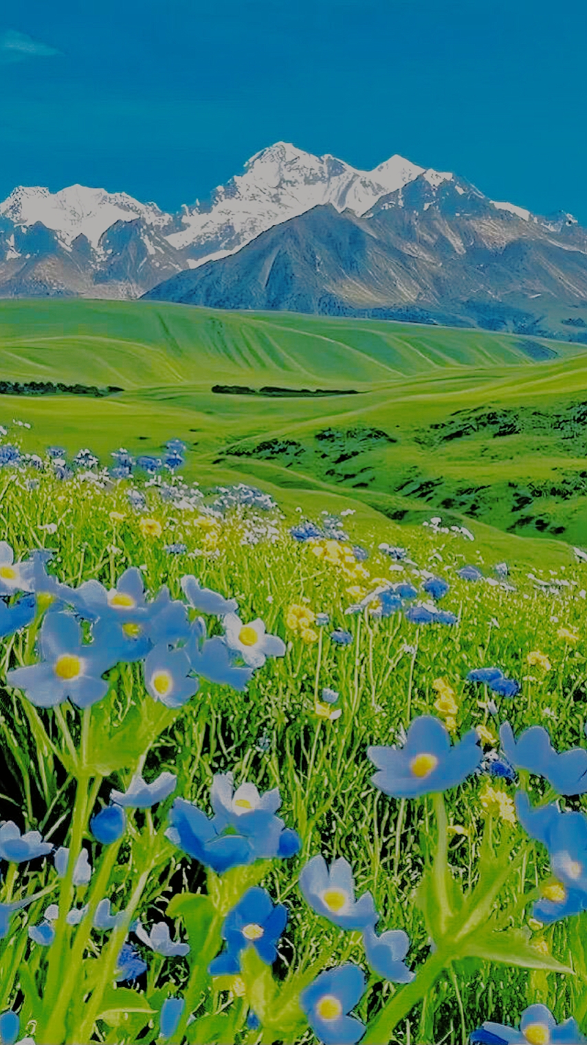 Complete guide to the Genie Sacred Mountain flower sea