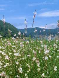 6天夏天逛日本保姆級攻略碼住