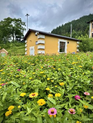 中東鉄道の記憶、百年の横道の小さな町