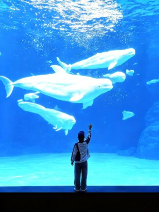 The "Little Atlantis" near home in Jiangsu, Zhejiang, and Shanghai | Relaxed family travel guide