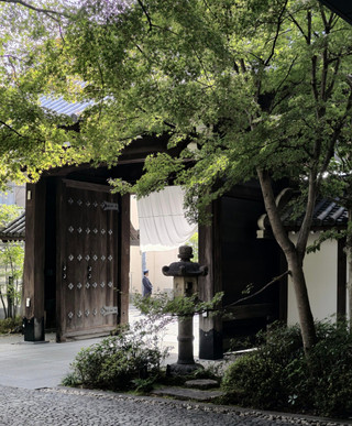 推開300年的“梶井宮門”，我在京都當了一天三井財閥