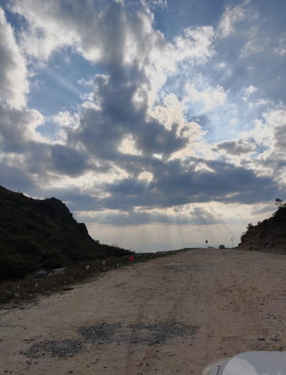 Dafeng Mountain | Qingliu alpine meadow, a cloud-top secret spot for the laid-back traveler