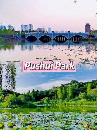 Puyang's Urban Leisure Backyard! Puyang Water Park: A Guide for Strolling, Taking Kids Out, Taking Photos, and Playing - Basic Travel Information: Address: Puyang Middle Road, Hualong District, Puyang City