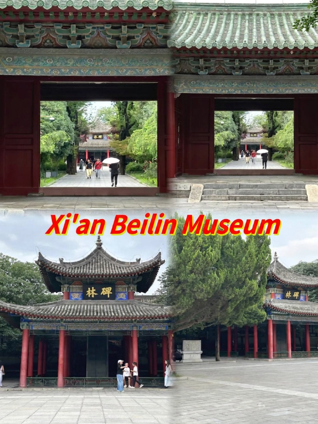 暑假帶娃避暑必去！西安碑林博物館遊玩全攻略