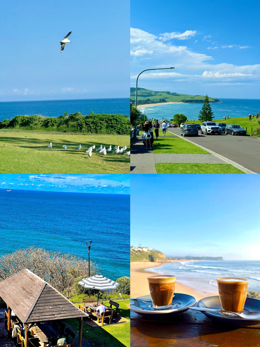 洋楽 SYDNEY / SYDNEY Sydney | Half harbor romance, half beach freedom | A must-visit in
