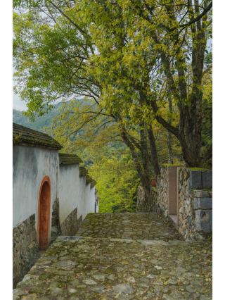 Qiaodong Village, Minqing: A slow-paced getaway in an ancient mountain village
