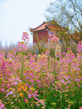 What kind of genius designed this park in Kunshan? It's breathtakingly beautiful. Does anyone get me?