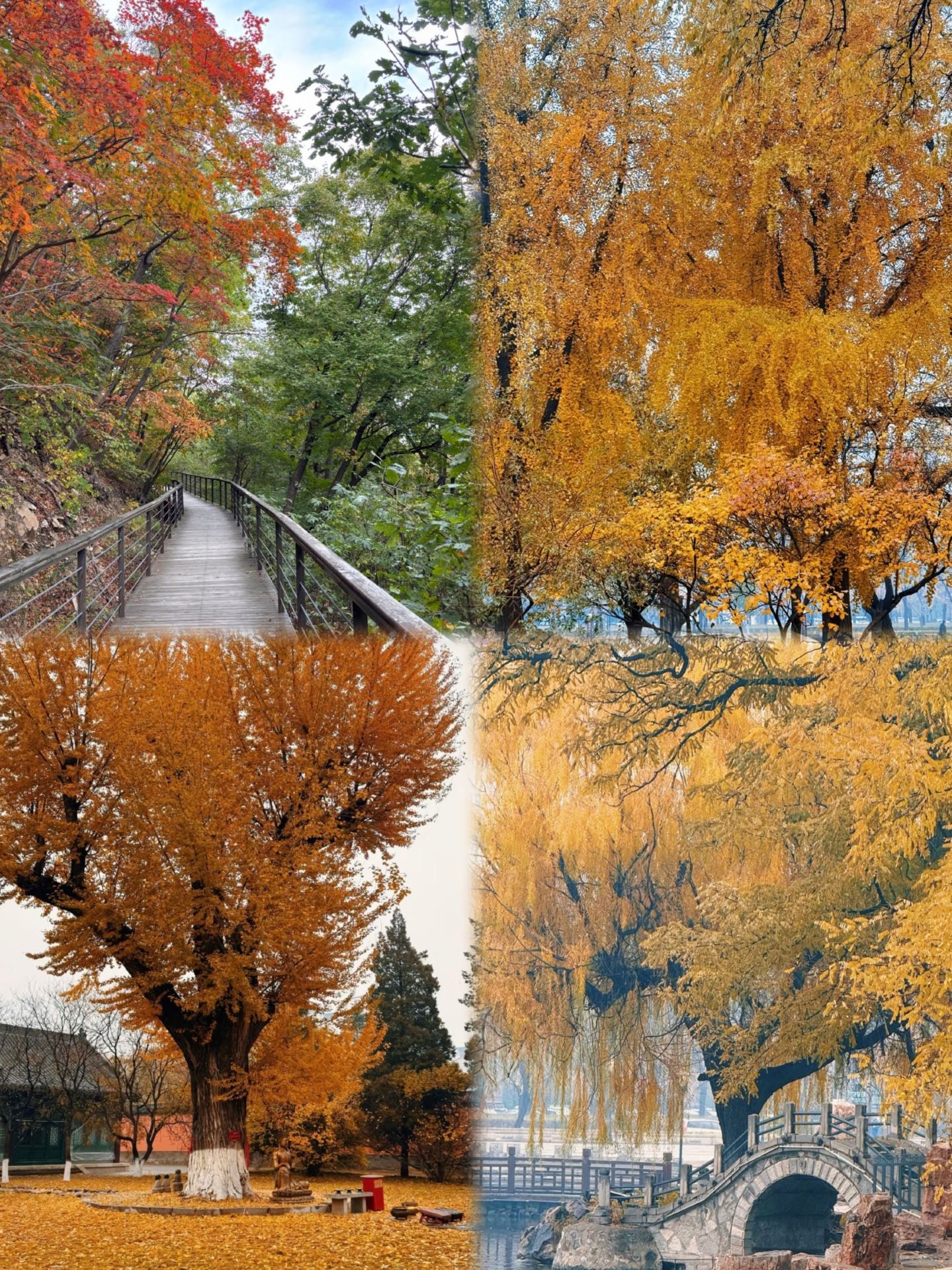 I've been to Liaoyang 5 times, so here's my advice… autumn really is the most comfortable season in Liaoyang