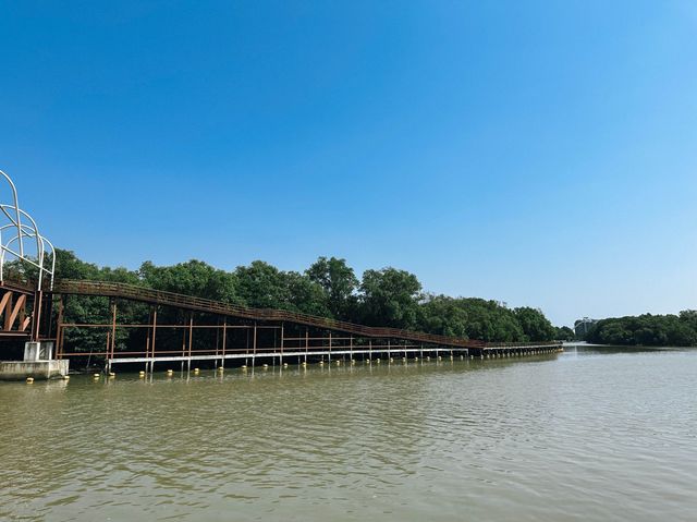 เที่ยวป่าชายเลน เรียนรู้ธรรมชาติ ที่จังหวัดระยอง