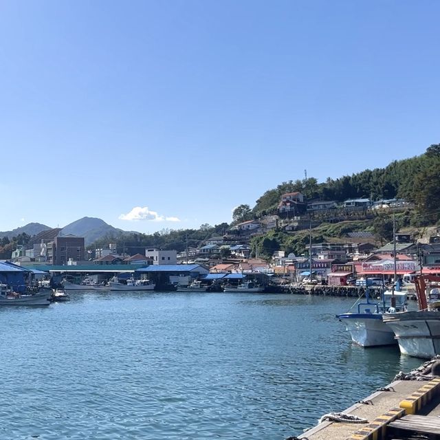강원도여행 왔으면 이곳에서부터 시작! 삼척항 대게거리🦀
