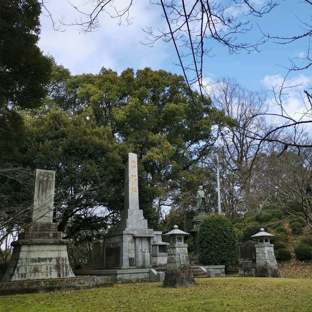 Beautiful park with around 3k sakura trees