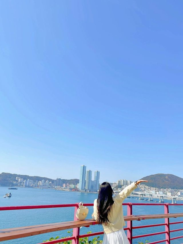 오션뷰가 예쁜 이색 동굴 포토스팟!! 따라만 오라규!