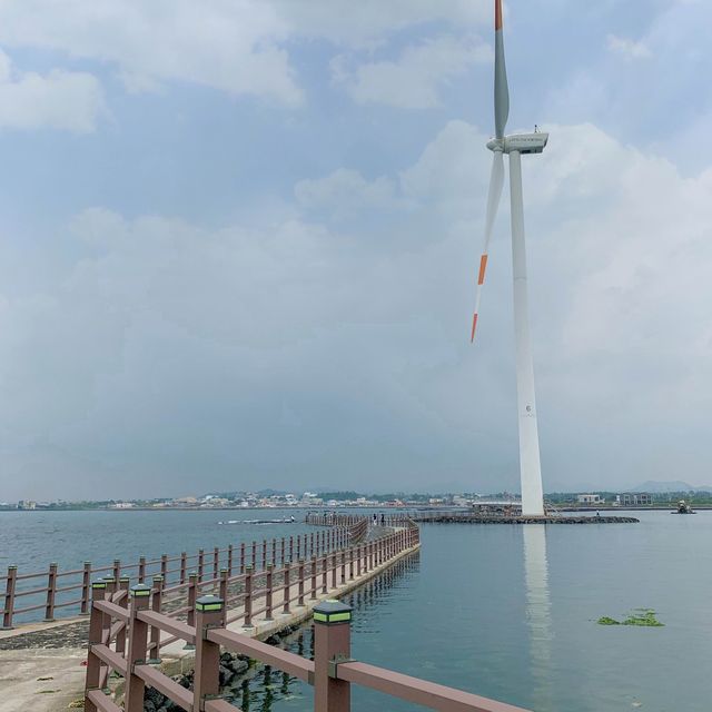 이국적인 풍경을 볼 수 있는 제주여행지 