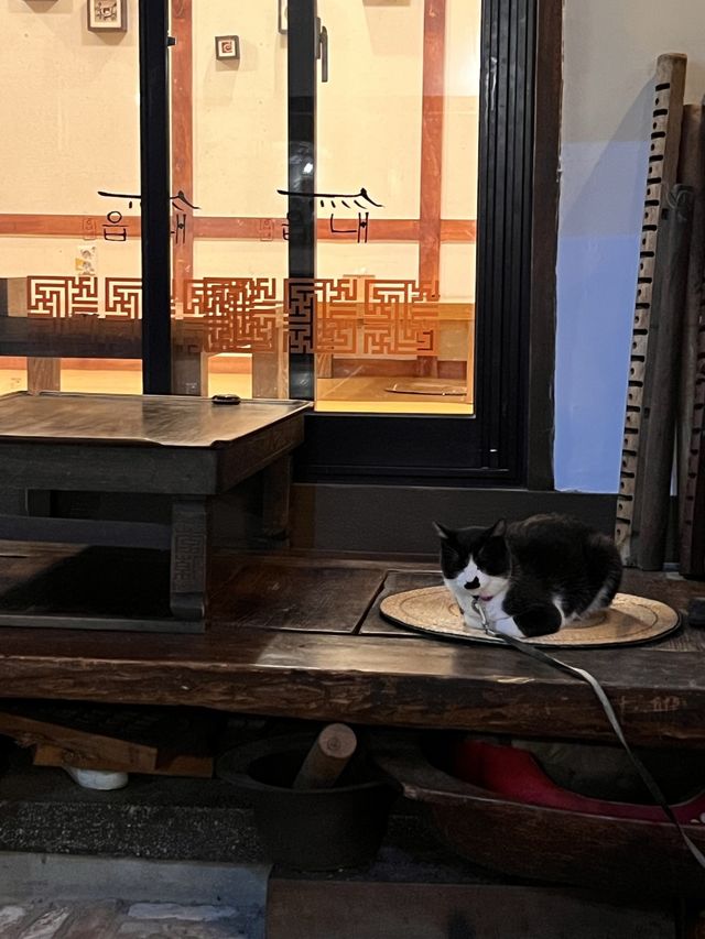 韓国【大邱】美味しいジョン(チヂミ)が食べられる韓屋のお店