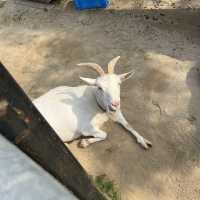 與動物園並設的「福岡市植物園」