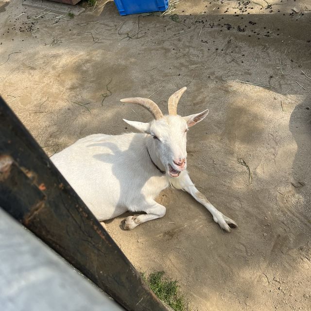 與動物園並設的「福岡市植物園」