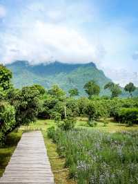 ทริปเชียงดาว 2 วัน 1 คืน 🌳🪵⛺️