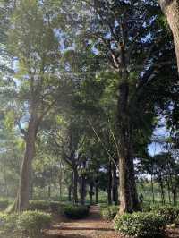 【インドネシア】茶畑で癒される “Keboen Teh Lawang”