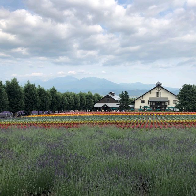 Beutiful Flowers & More At Farm Tomita 