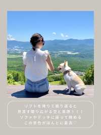 【長野】わんこと行ける絶景スポット🌿
